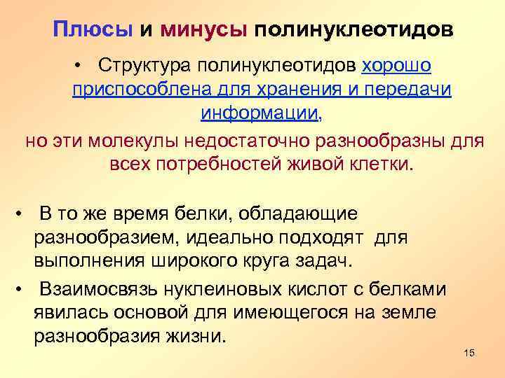 Плюсы и минусы полинуклеотидов • Структура полинуклеотидов хорошо приспособлена для хранения и передачи информации,