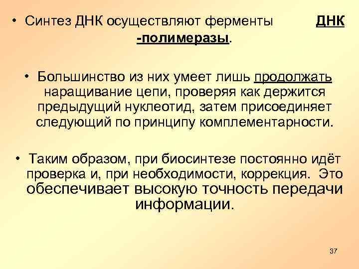  • Синтез ДНК осуществляют ферменты ДНК -полимеразы. • Большинство из них умеет лишь