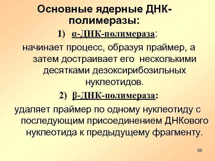 Основные ядерные ДНКполимеразы: 1) α-ДНК-полимераза: начинает процесс, образуя праймер, а затем достраивает его несколькими