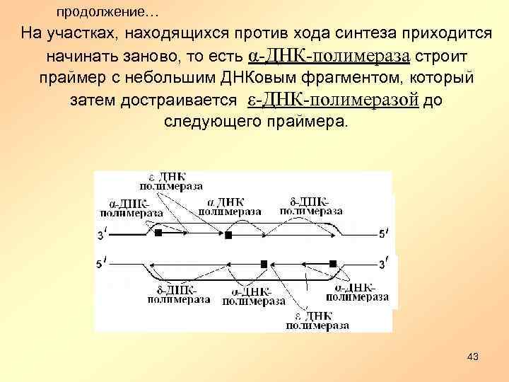 Находится против