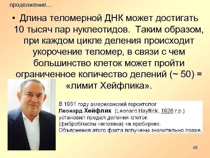 продолжение… • Длина теломерной ДНК может достигать 10 тысяч пар нуклеотидов. Таким образом, при