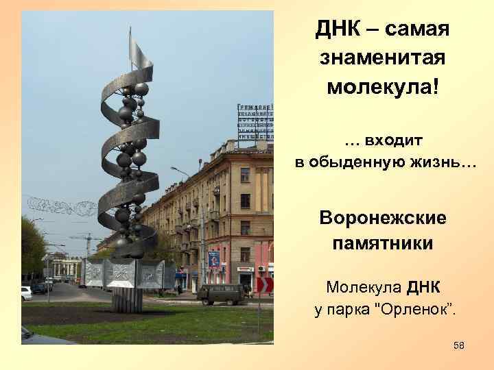 ДНК – самая знаменитая молекула! … входит в обыденную жизнь… Воронежские памятники Молекула ДНК