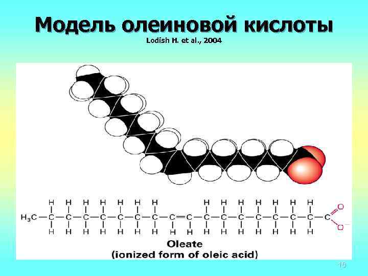 Применение олеиновой кислоты