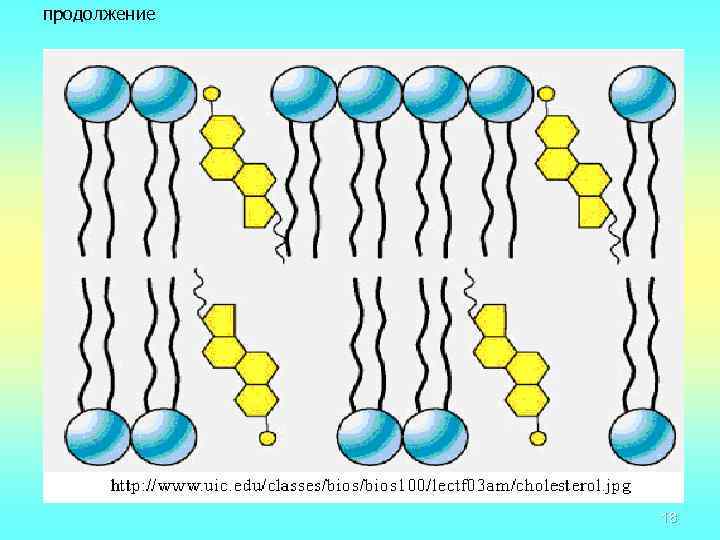 продолжение 18 