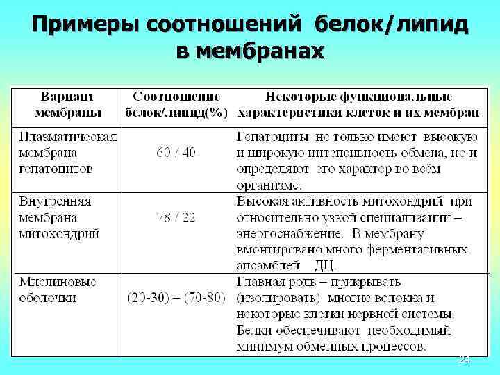 Примеры соотношений белок/липид в мембранах 24 