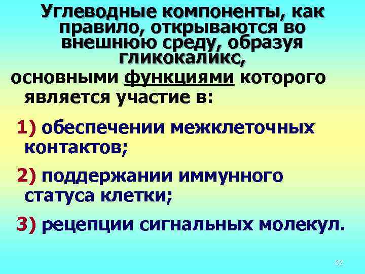 Углеводные компоненты, как правило, открываются во внешнюю среду, образуя гликокаликс, основными функциями которого является