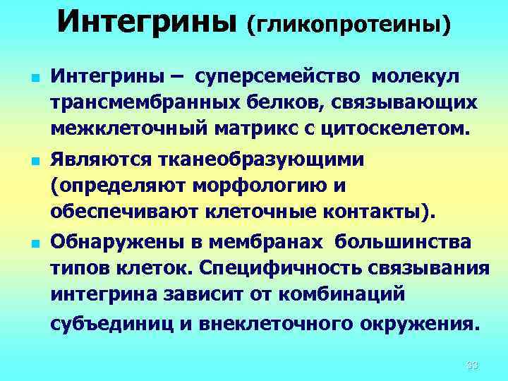 Интегрины (гликопротеины) n n n Интегрины – суперсемейство молекул трансмембранных белков, связывающих межклеточный матрикс