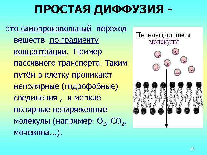 Химический транспорт веществ. Простая диффузия. Простая диффузия примеры. Простая и облегченная диффузия. Простая и облегченная диффузия через мембрану.