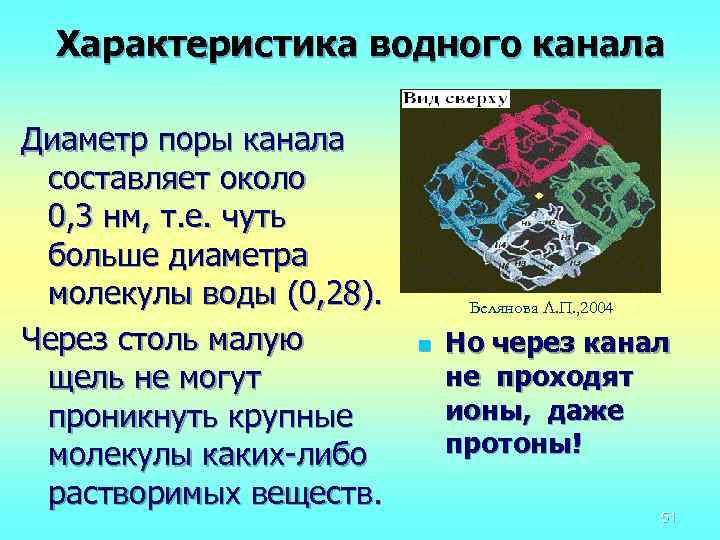 Характеристика водного канала Диаметр поры канала составляет около 0, 3 нм, т. е. чуть