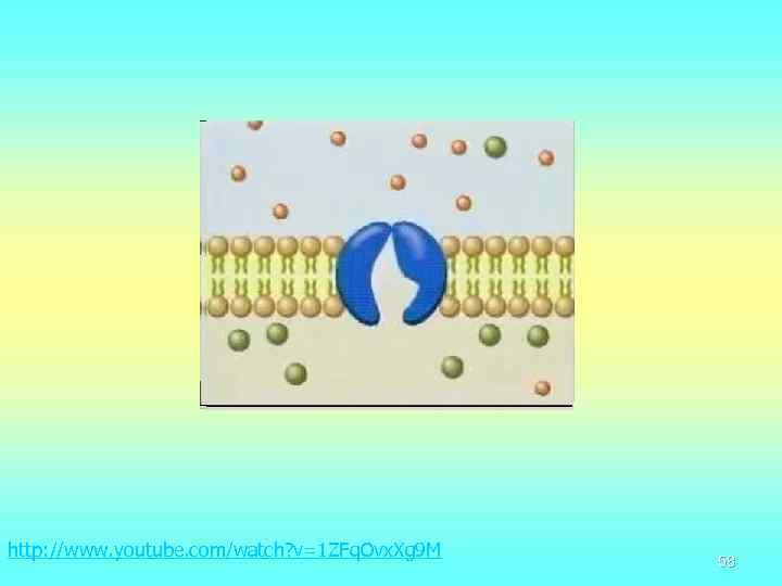 http: //www. youtube. com/watch? v=1 ZFq. Ovx. Xg 9 M 58 