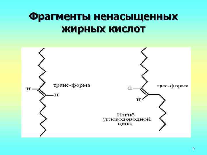Фрагменты ненасыщенных жирных кислот 9 