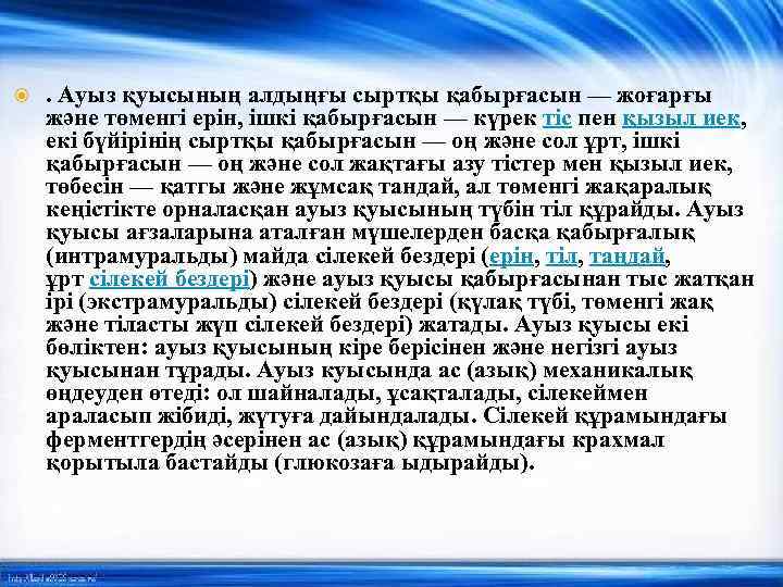  . Ауыз қуысының алдыңғы сыртқы қабырғасын — жоғарғы және төменгі ерін, ішкі қабырғасын