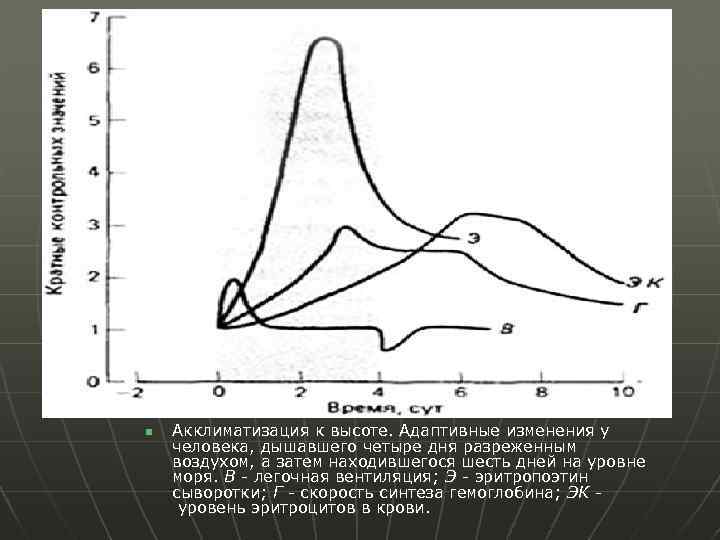 n Акклиматизация к высоте. Адаптивные изменения у человека, дышавшего четыре дня разреженным воздухом, а