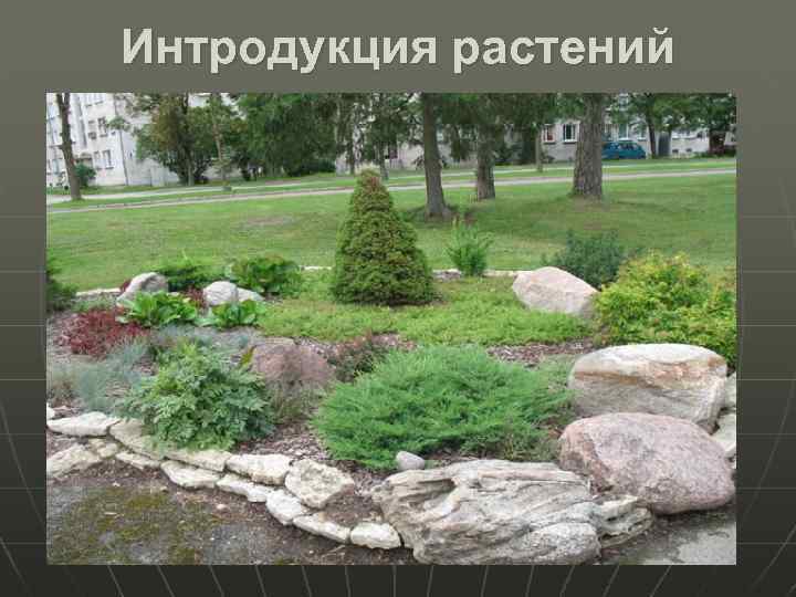 Интродукция растений 