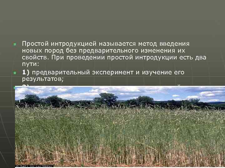 n n n Простой интродукцией называется метод введения новых пород без предварительного изменения их