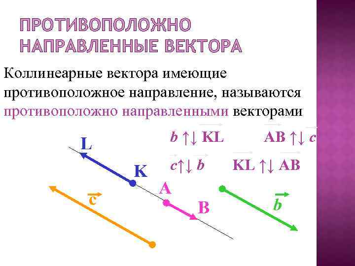 ПРОТИВОПОЛОЖНО НАПРАВЛЕННЫЕ ВЕКТОРА Коллинеарные вектора имеющие противоположное направление, называются противоположно направленными векторами b ↑↓