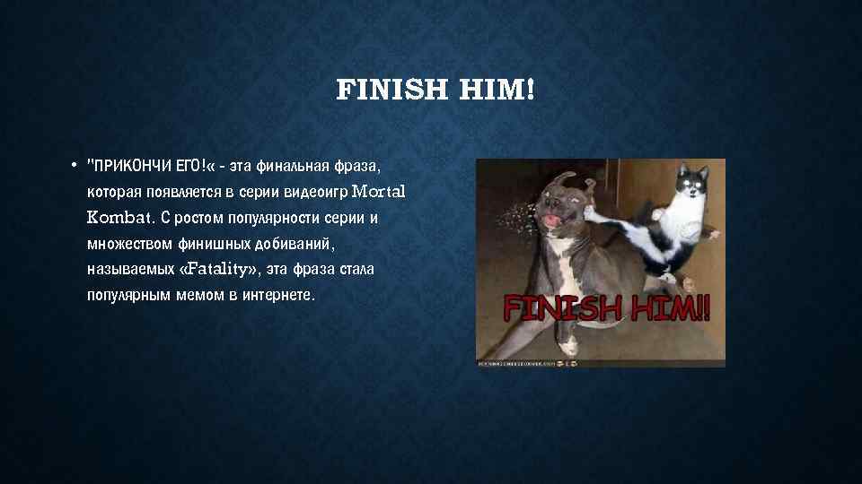 FINISH HIM! • 