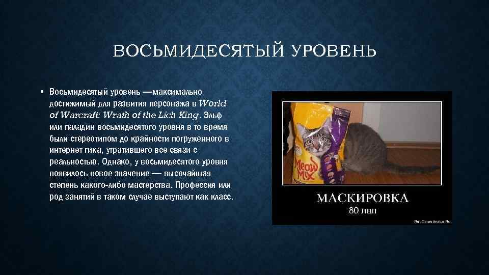 ВОСЬМИДЕСЯТЫЙ УРОВЕНЬ • Восьмидесятый уровень —максимально достижимый для развития персонажа в World of Warcraft: