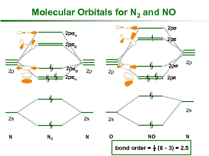 Molecular Orbitals for N 2 and NO 2 psu 2 ppg 2 psg 2