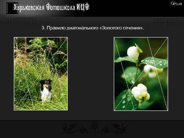 3. Правило диагонального «Золотого сечения» . 