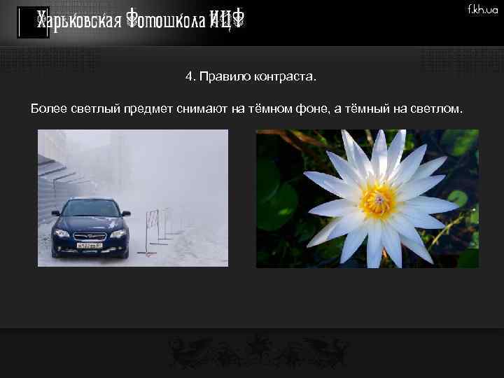 4. Правило контраста. Более светлый предмет снимают на тёмном фоне, а тёмный на светлом.