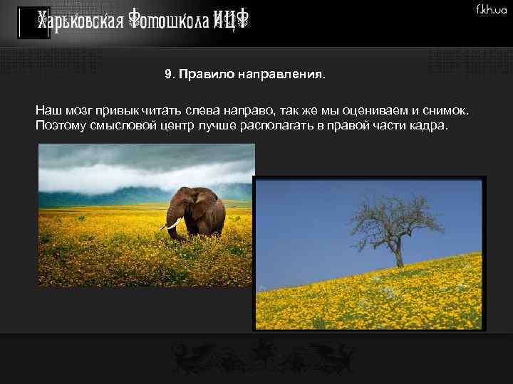 9. Правило направления. • Наш мозг привык читать слева направо, так же мы оцениваем