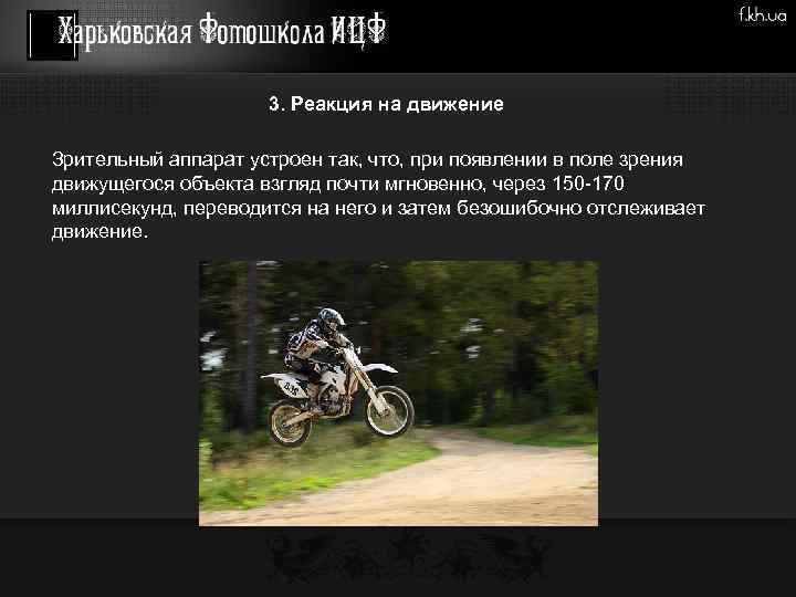 3. Реакция на движение Зрительный аппарат устроен так, что, при появлении в поле зрения