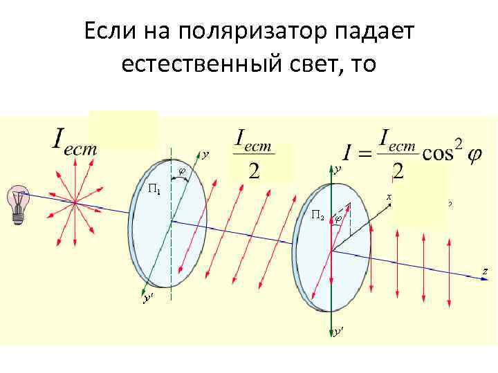 Если на поляризатор падает естественный свет, то 