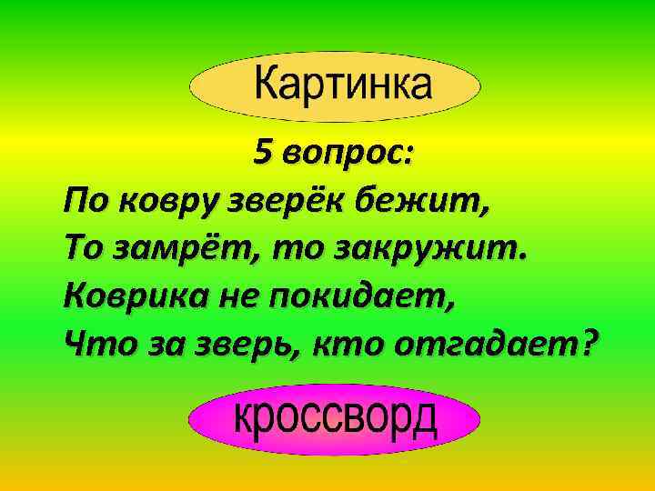 5 вопрос: По ковру зверёк бежит, То замрёт, то закружит. Коврика не покидает, Что