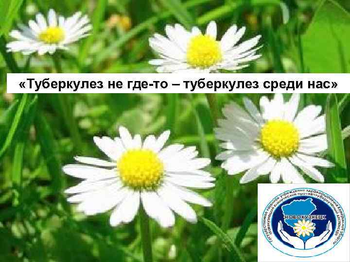  «Туберкулез не где-то – туберкулез среди нас» 