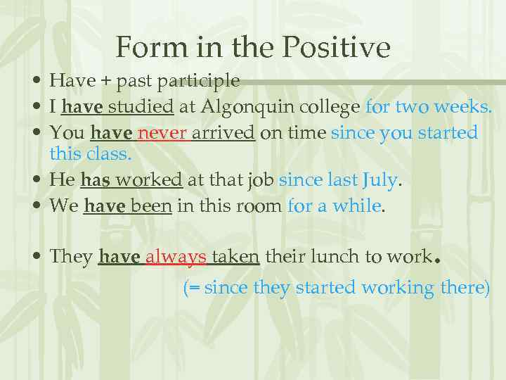 Form in the Positive • Have + past participle • I have studied at