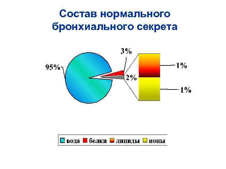 Состав нормального бронхиального секрета 