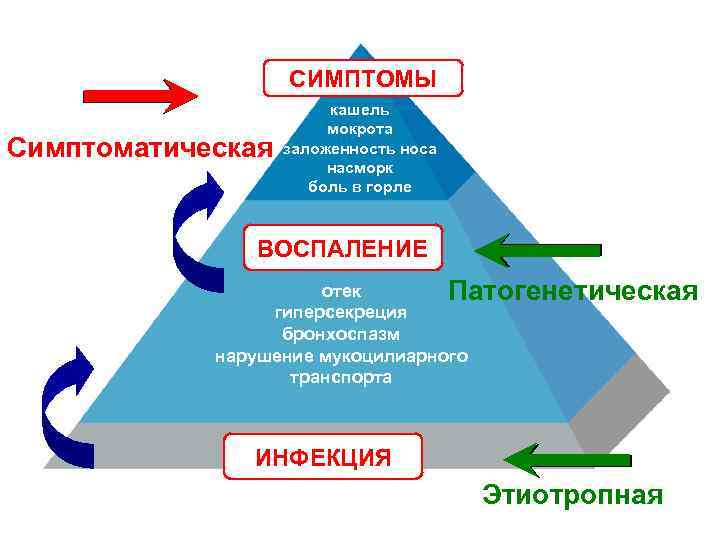 СИМПТОМЫ Симптоматическая кашель мокрота заложенность носа насморк боль в горле ВОСПАЛЕНИЕ отек Патогенетическая гиперсекреция