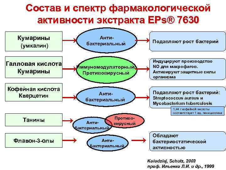 Состав и спектр фармакологической активности экстракта EPs® 7630 Кумарины (умкалин) Галловая кислота Кумарины Кофейная