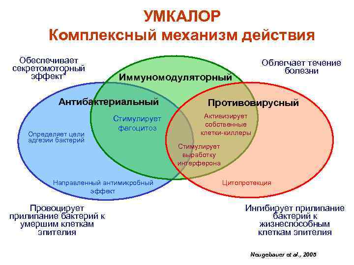 УМКАЛОР Комплексный механизм действия Обеспечивает секретомоторный эффект* Иммуномодуляторный Антибактериальный Определяет цели адгезии бактерий Стимулирует