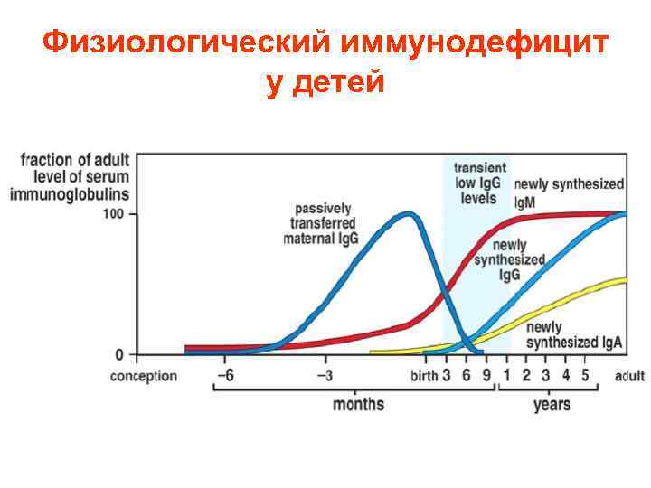  Физиологический иммунодефицит у детей 