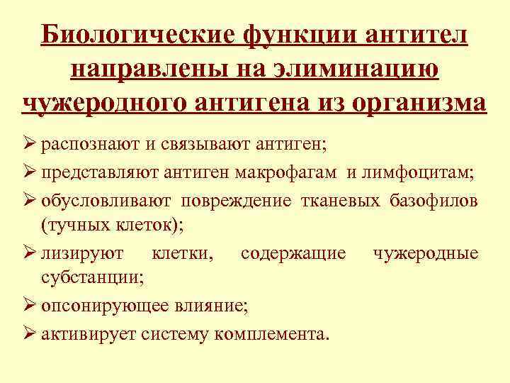 Биологические функции антител направлены на элиминацию чужеродного антигена из организма Ø распознают и связывают