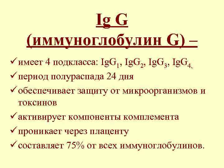 Ig G (иммуноглобулин G) – ü имеет 4 подкласса: Ig. G 1, Ig. G