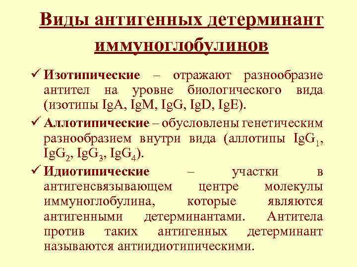 Виды антигенных детерминант иммуноглобулинов ü Изотипические – отражают разнообразие антител на уровне биологического вида