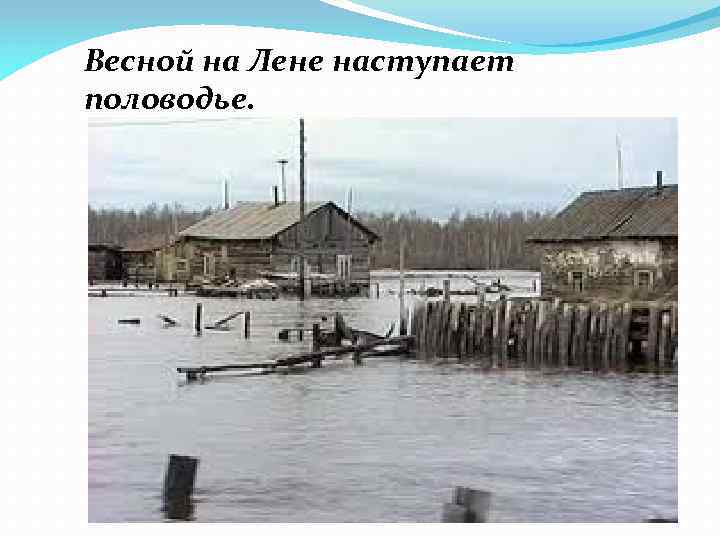 В какое время наступает половодье