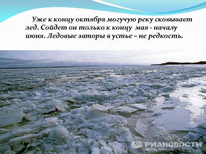  Уже к концу октября могучую реку сковывает лед. Сойдет он только к концу