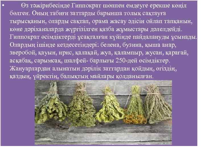  • Өз тәжірибесінде Гиппократ шөппен емдеуге ерекше көңіл бөлген. Оның табиғи заттарды барынша