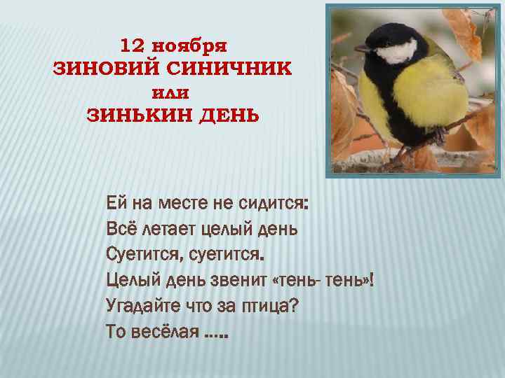 12 ноября ЗИНОВИЙ СИНИЧНИК или ЗИНЬКИН ДЕНЬ Ей на месте не сидится: Всё летает