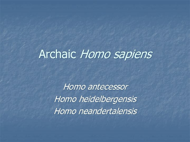 Archaic Homo sapiens Homo antecessor Homo heidelbergensis Homo neandertalensis 