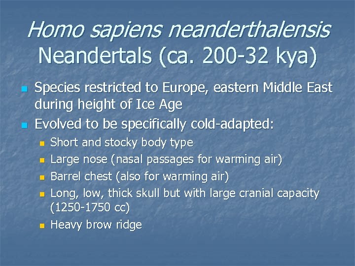 Homo sapiens neanderthalensis Neandertals (ca. 200 -32 kya) n n Species restricted to Europe,