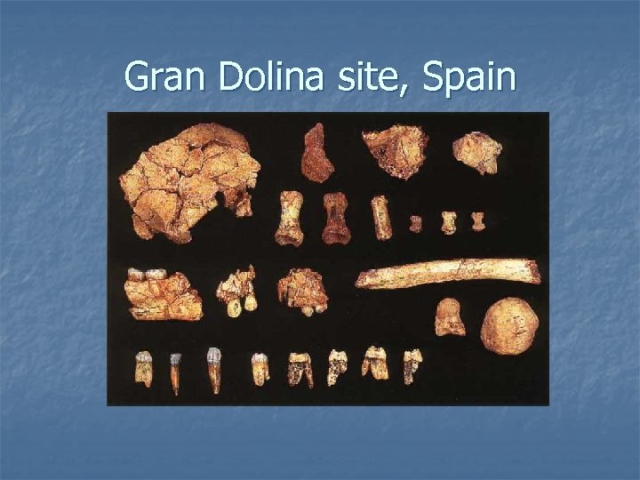 Gran Dolina site, Spain 