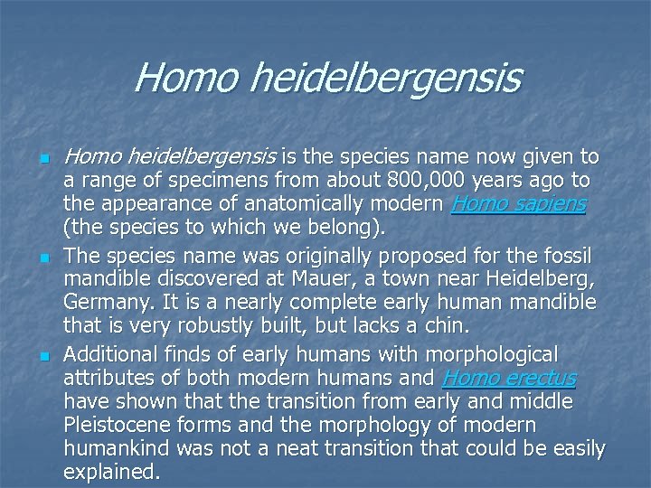 Homo heidelbergensis n n n Homo heidelbergensis is the species name now given to