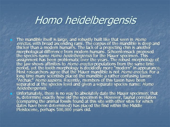 Homo heidelbergensis n n The mandible itself is large, and robustly built like that