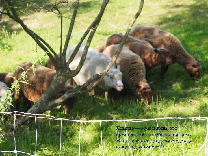 Хозяева — муж и жена, это предприятие — семейный бизнес. Жена не вяжет вещи