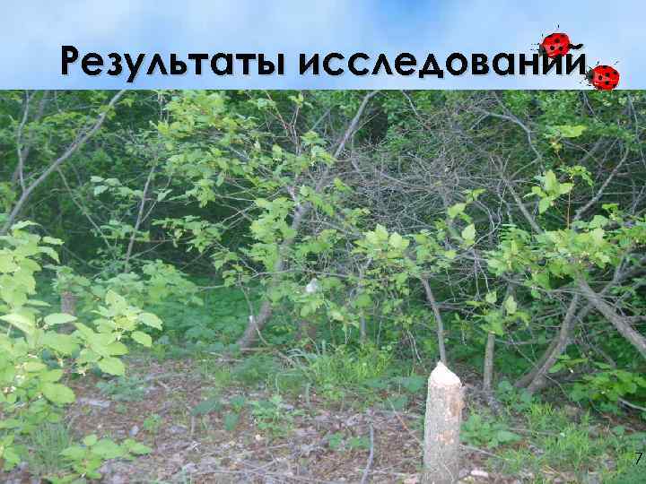 Результаты исследований 7 